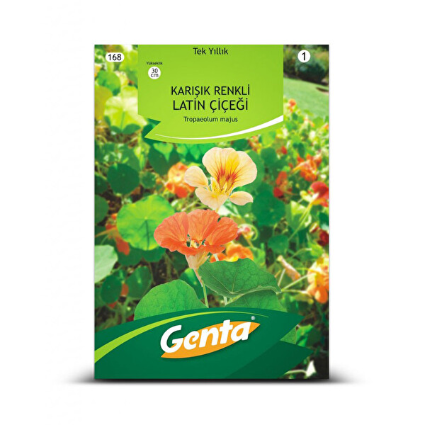 Genta Karışık Renkli Latin Çiçeği Genta Karışık Renkli Latin Çiçeği