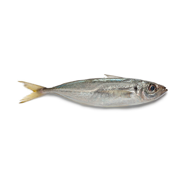 Istavrit Karagoz 30171348 Carrefoursa