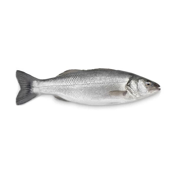 Levrek (300-400 g) Adet