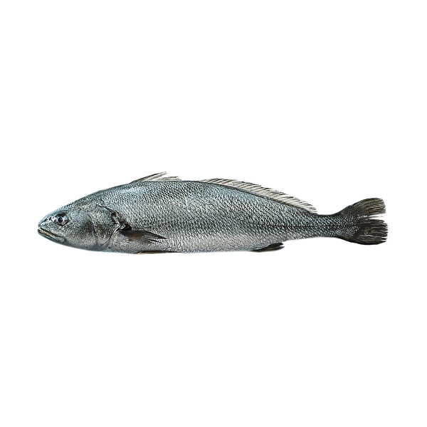 kaya levregi 3 kg ustu 30171611 carrefoursa