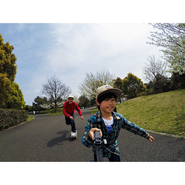 GoPro 5GPR/AFAEM-001 3-WAY GoPro 5GPR/AFAEM-001 3-WAY