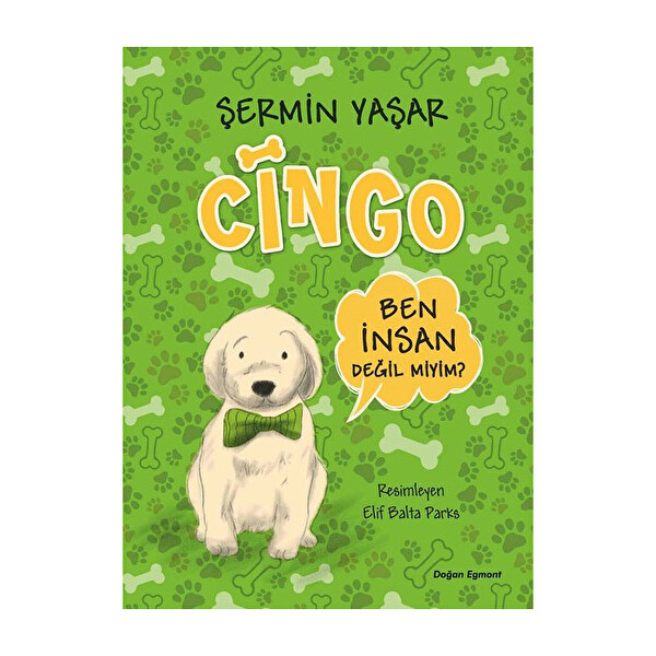 Cingo