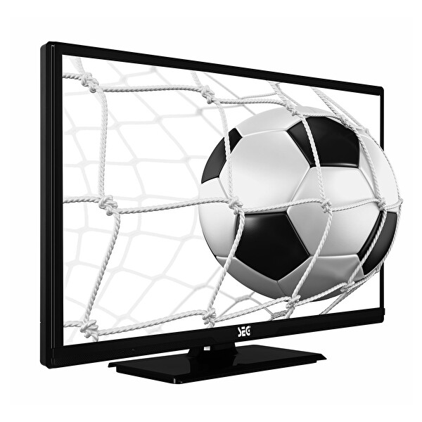 Seg 24SEH5520 HD 24