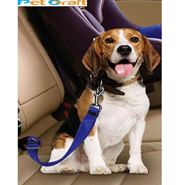 Petcraft Emniyet Kemerli Tasma Petcraft Emniyet Kemerli Tasma