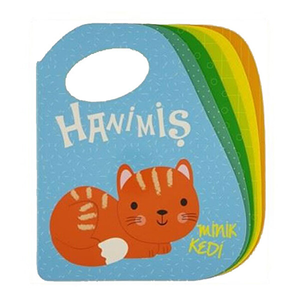 Hanimiş Minik Kedi