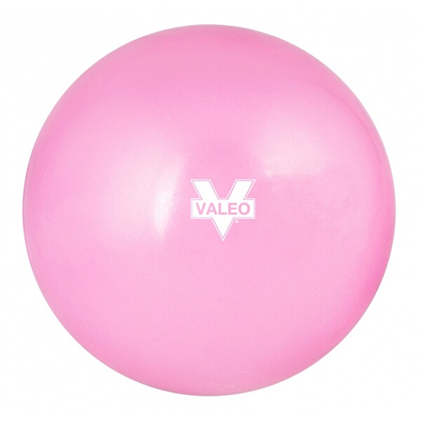 Valeo Fuşya Mini Ball 20 CM 