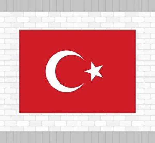VATAN 35X50 KARTON BAYRAK POSTER