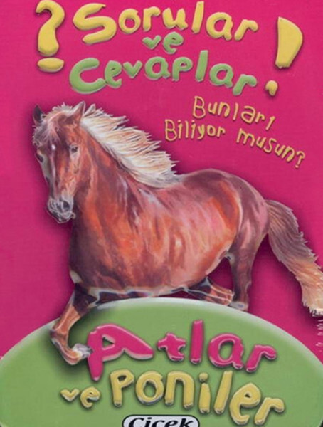 Atlar ve Poniler Kart Sorular ve Cevaplar Dizisi 2