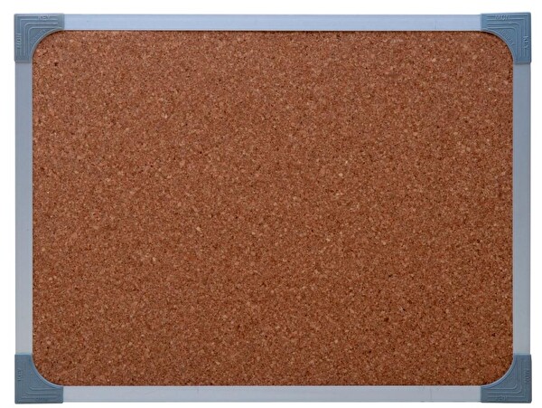 Duvara Monte Mantar Pano 30X45 Metal Çerçeve
