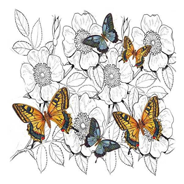 Artebella Home Design  Serisi Transfer 2