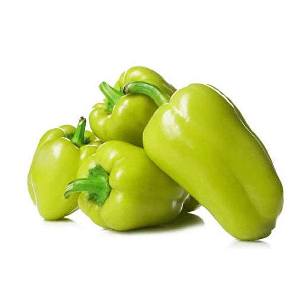 Dolma Biber Kg