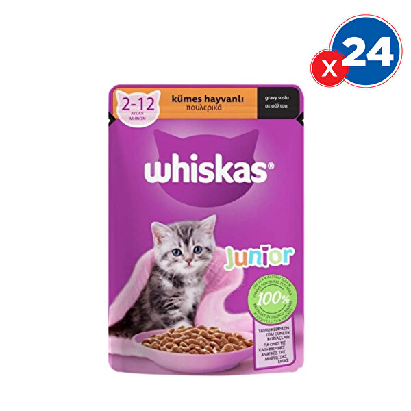 Whiskas Kümes Hayvanlı Yavru Yaş Kedi Maması 85 GrX24'lü