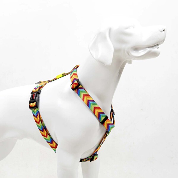 Tailpetz Raınbow H-Tipi Göğüs Tasması S