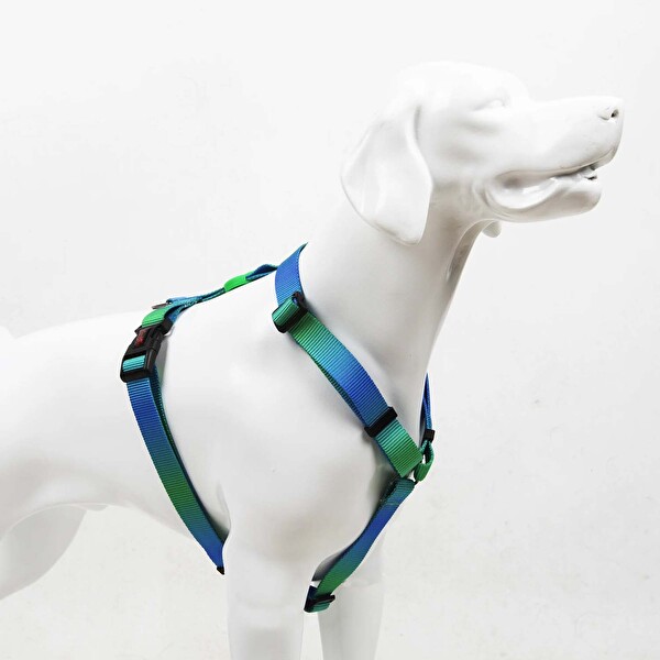 Tailpetz Amazon H-Tipi Göğüs Tasması M