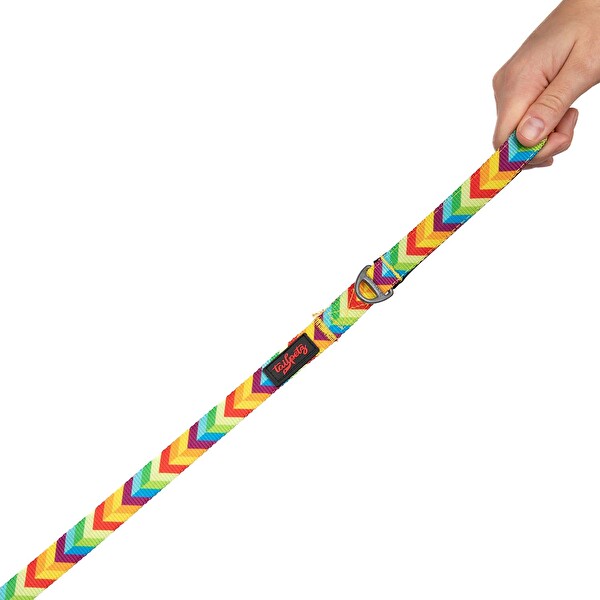 Tailpetz Sevk Kayışı Raınbow Medium