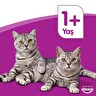 Whiskas Ton Balıklı Kedi Maması 1,4 Kg